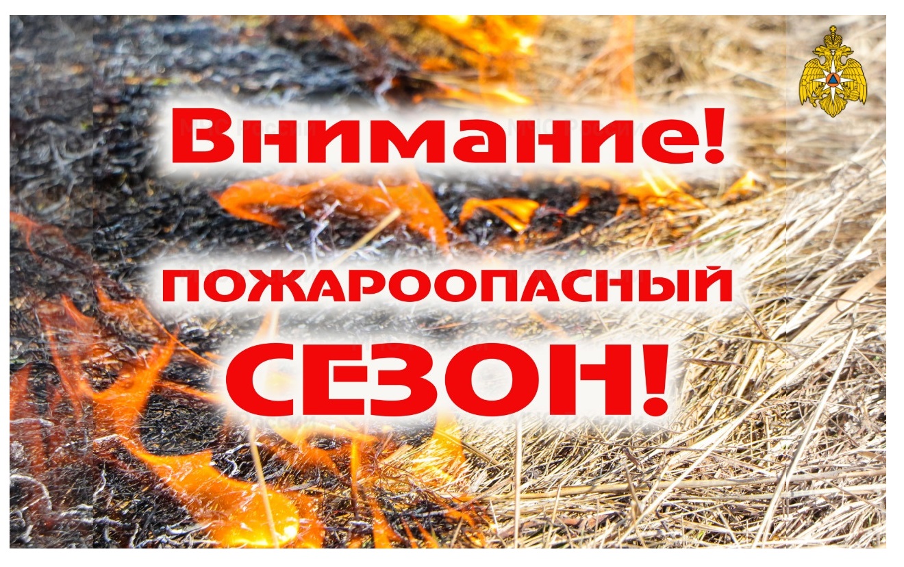 В Пензенской области 10 апреля начался пожароопасный сезон