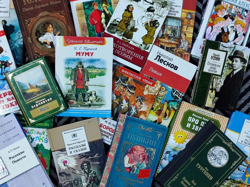 Кузнечане могут помочь городу-побратиму  книгами по школьной программе