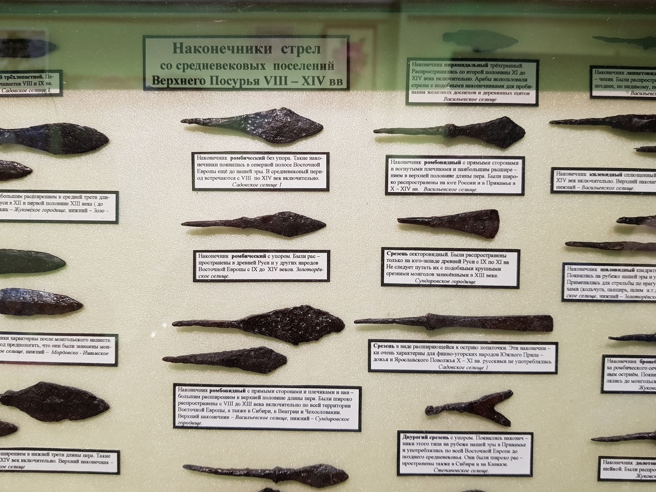 Фонды краеведческого музея пополнились редкими экспонатами
