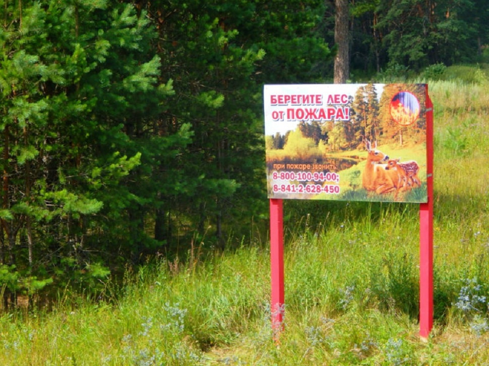 На территории Пензенской области ввели временное ограничение на посещение лесов