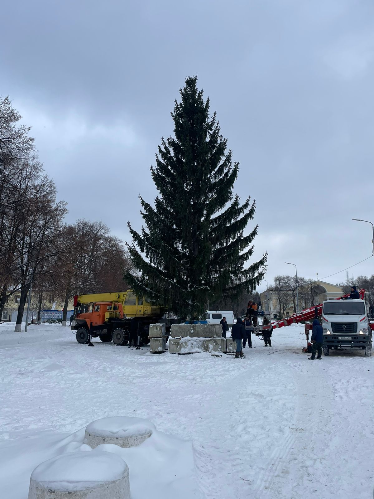 В Кузнецке на центральной площади  установили новогоднюю ель