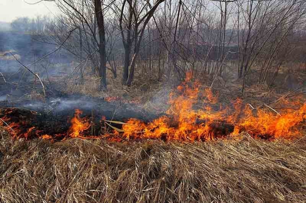 Кузнечан призывают соблюдать меры пожарной безопасности