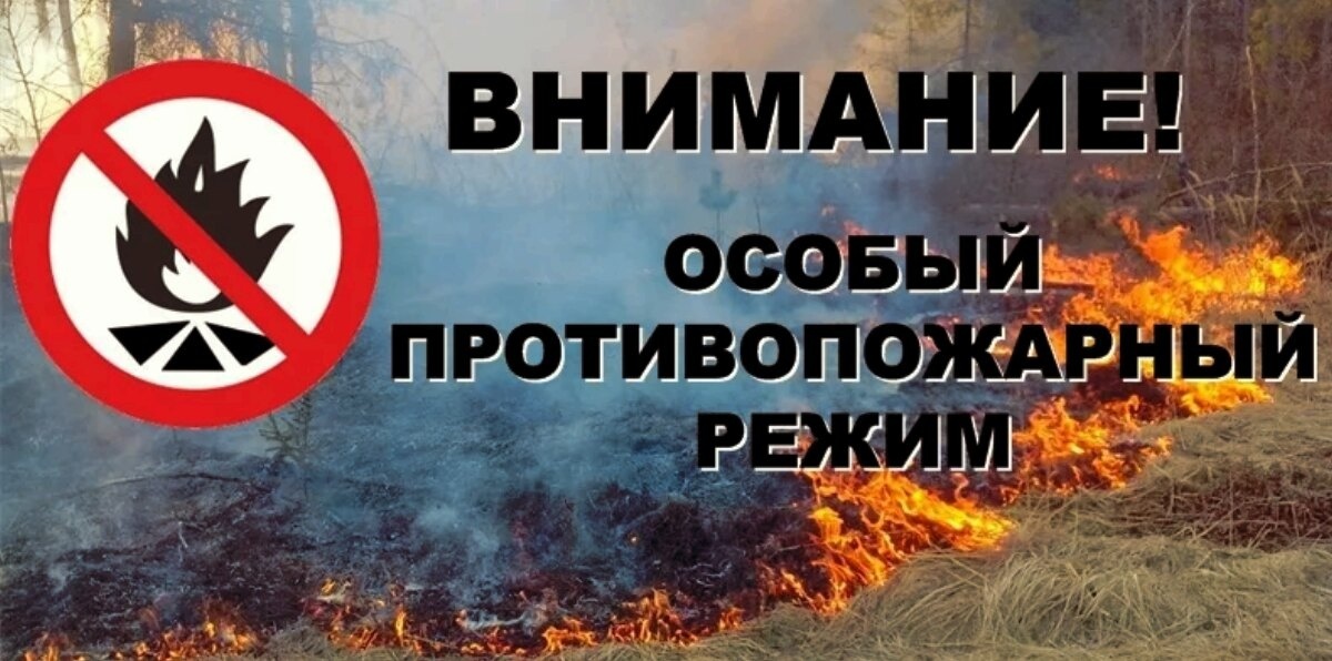 На территории города Кузнецка действует особый противопожарный режим