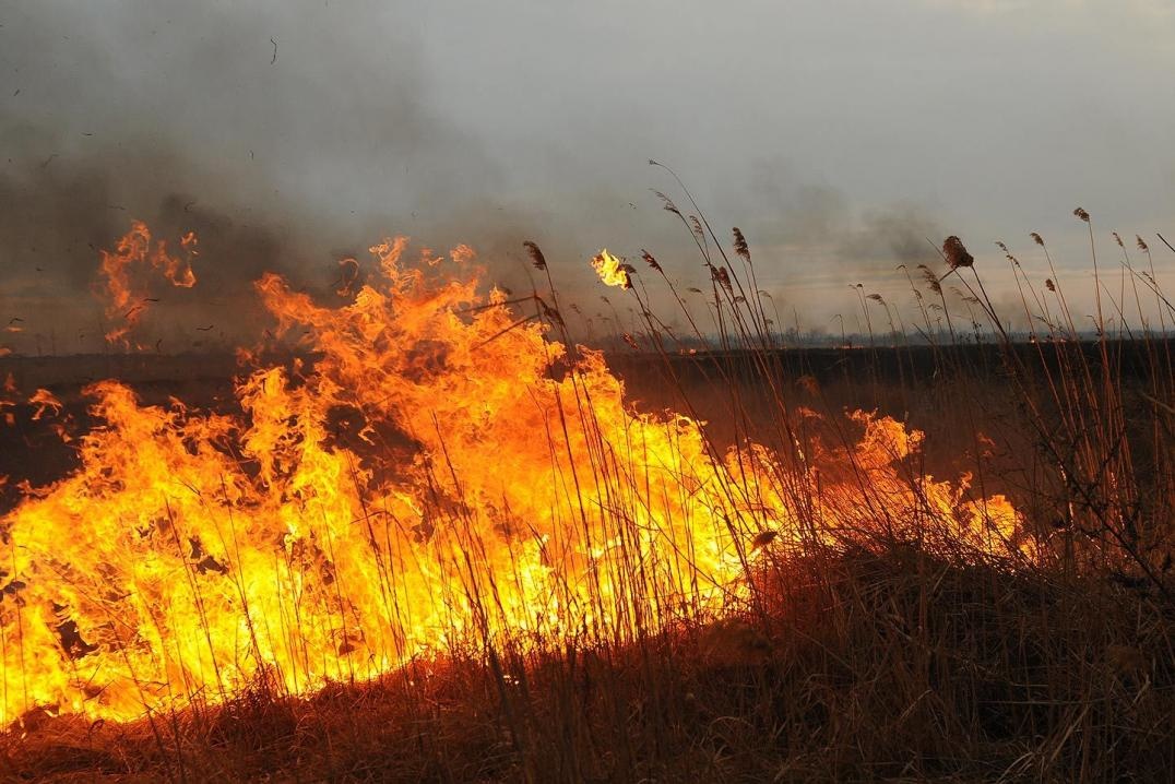 На территории Пензенской области введен особый противопожарный режим
