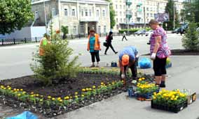 Сотрудники МКУП «Зеленый город»  украсили клумбы города цветами