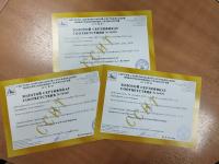 Детская школа искусств города Кузнецка удостоена Золотых сертификатов качества