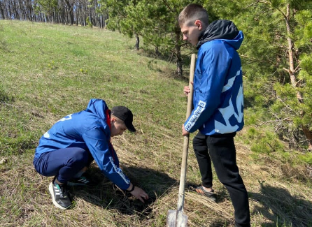 В Кузнецке   продолжается акция «Посади дерево»