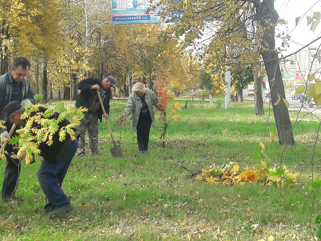 В 2020 году в Кузнецке было высажено 1800 различных пород деревьев