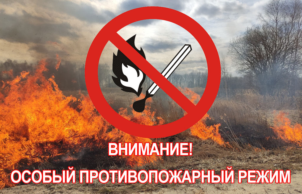 На территории Пензенской области действует особый противопожарный режим