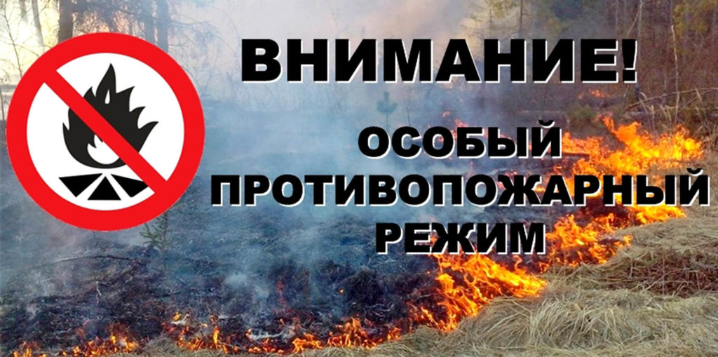 В Кузнецке вводится особый режим противопожарной безопасности