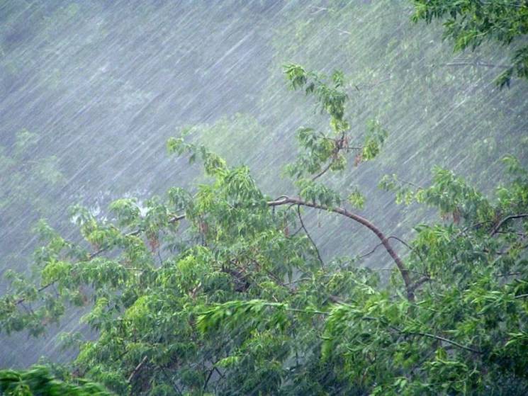 МЧС предупреждает: гроза и сильный ветер ожидаются в Пензенской области 28 июня