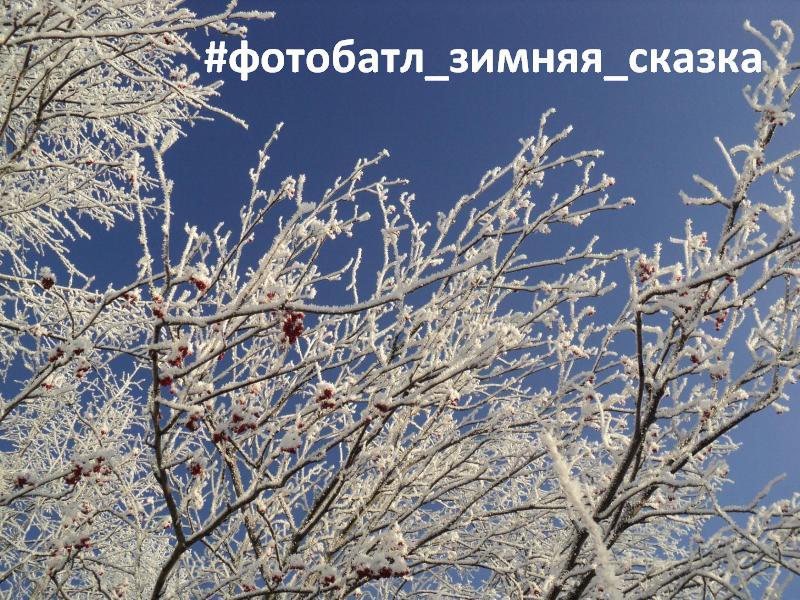Кузнечан приглашают к участию в фотобатле «Зимняя сказка»