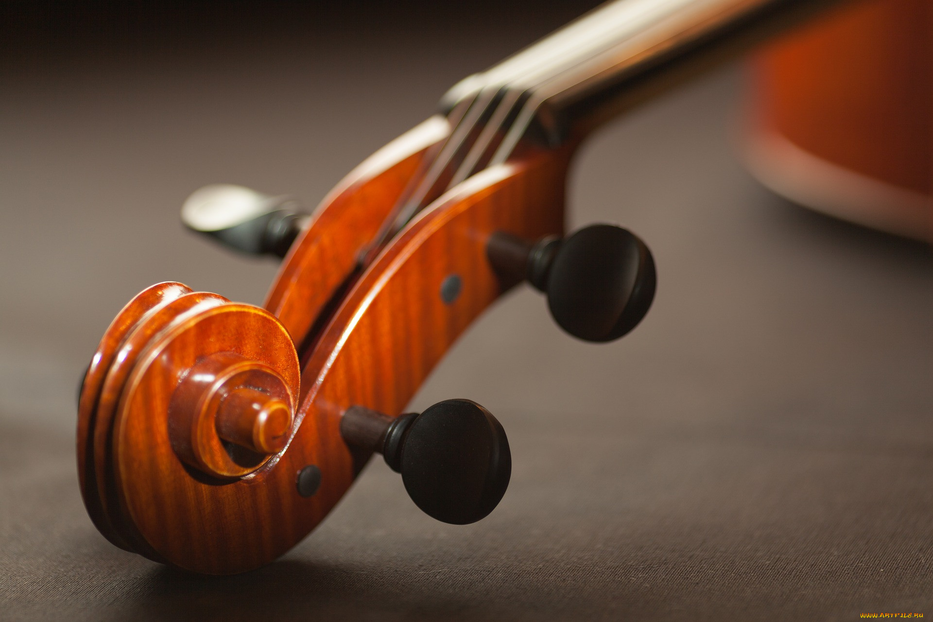 Кузнецкий музыкальный колледж пополнился  музыкальными инструментами благодаря помощи меценатов