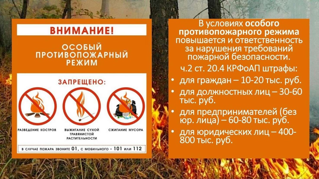  С 1 июня введен особый противопожарный режим