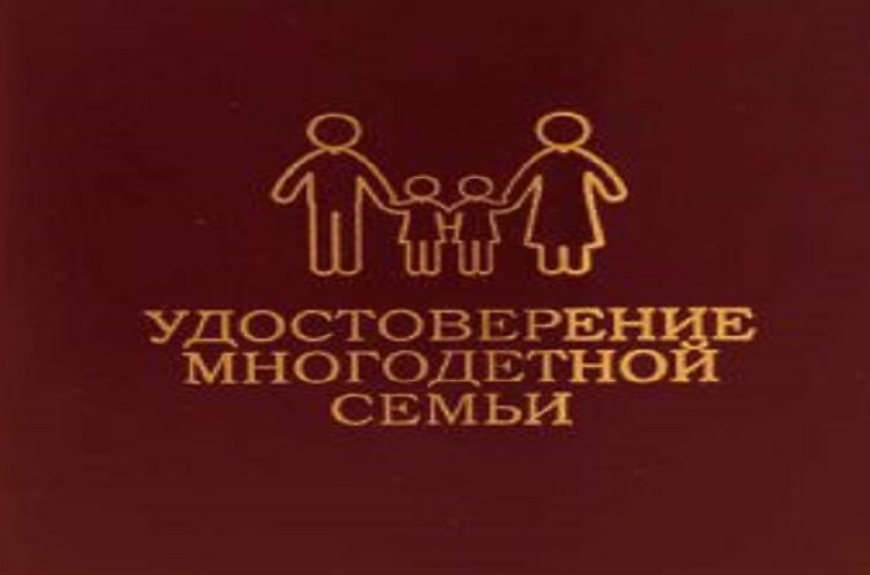 Утвержден порядок выдачи удостоверений «Многодетная семья Пензенской области»