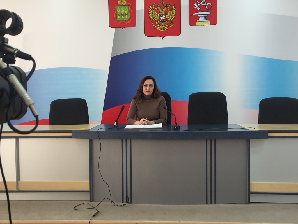 Директор МФЦ города Кузнецка Екатерина Елфимова  ответила на вопросы журналистов