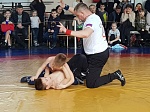 В Кузнецке прошли городские соревнования по греко-римской борьбе среди начинающих спортсменов