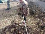 Благоустройство города Кузнецка продолжается в рамках объявленного месячника