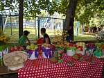 В парке состоялся городской праздник православной культуры «Спас»