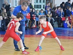 В Кузнецке прошли соревнования по греко-римской борьбе среди начинающих спортсменов, посвященные Дню защитника Отечества