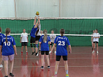 В рамках празднования Дня физкультурника в Кузнецке проходит турнир по волейболу