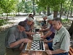 Кузнецкие шахматисты провели турнир в честь Дня физкультурника
