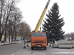 В Кузнецке на центральной площади установлена новогодняя ель