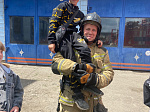 Пожарные напомнили школьникам правила безопасности