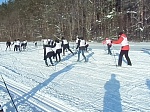 Студенты попробовали свои силы в выполнении норматива ВФСК ГТО "Бег на лыжах "