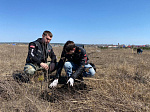 На мотодроме «Сухановский» высажено около двухсот саженцев деревьев