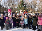 Кузнечане проводят новогодние каникулы в городском парке