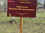 На территории школы №6 имени кузнечан-защитников Донбасса появилась Аллея памяти
