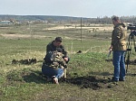 На мотодроме «Сухановский» высажено более двухсот саженцев деревьев