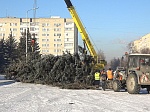 В Кузнецке на центральной площади  установлена новогодняя ель