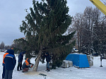 В Кузнецке на центральной площади  установили новогоднюю ель