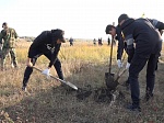 На мотодроме «Сухановский» продолжена акция по высадке деревьев