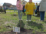 Кузнечане стали участниками областной акции в рамках проекта "Сады Победы"