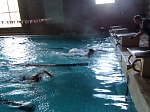 Трудовые коллективы сдали нормы ГТО по плаванию