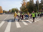 Пешеход,  пассажир и велосипедист – участники дорожного движения