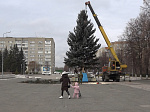 В Кузнецке на центральной площади установлена новогодняя ель