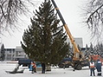 В Кузнецке на центральной площади Кузнецка установлена новогодняя ель